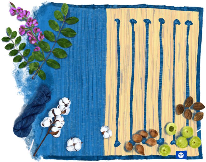 slider-image